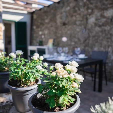 Gardenhouse Sarzana公寓 外观 照片
