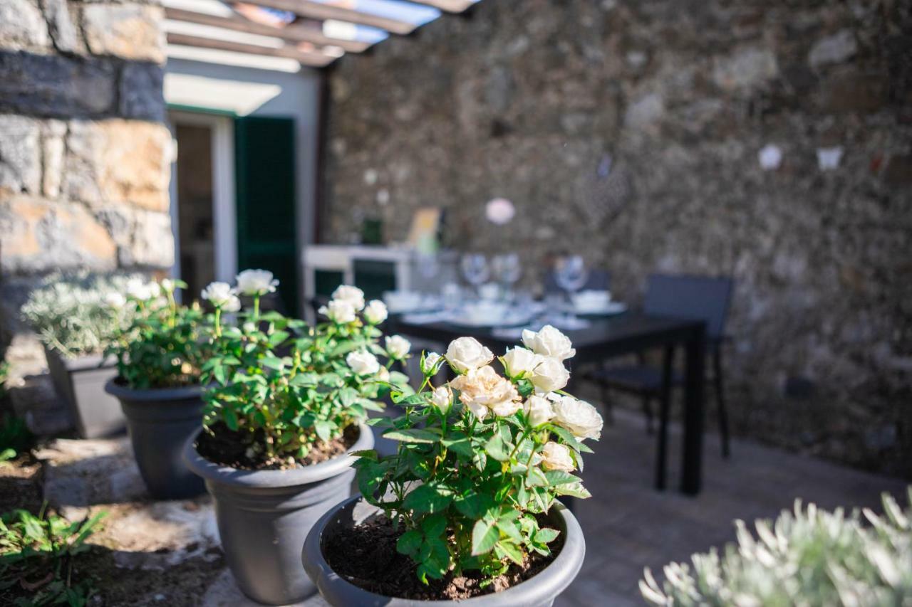 Gardenhouse Sarzana公寓 外观 照片